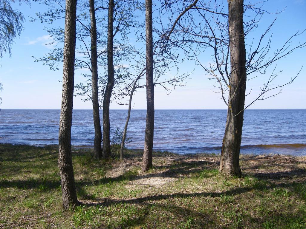 Vila Kiviranna Puhkemajad Suure-Rakke Exteriér fotografie